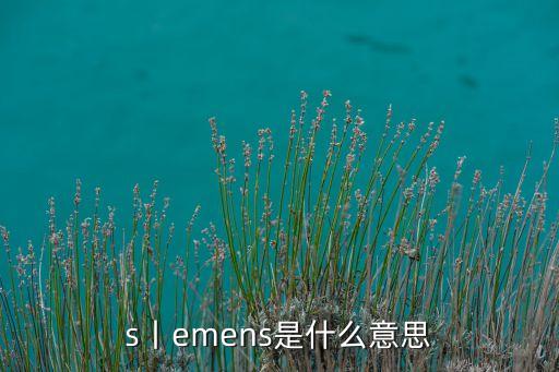 s丨emens是什么意思