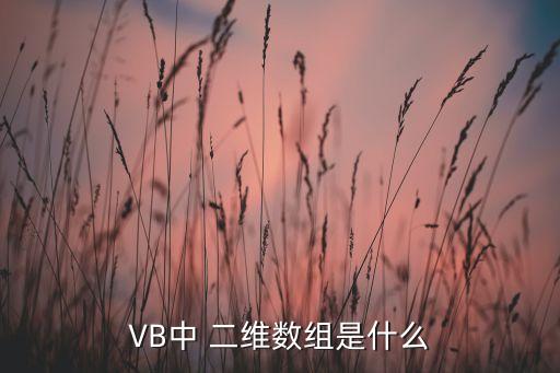 二維數(shù)組，VB中 二維數(shù)組是什么