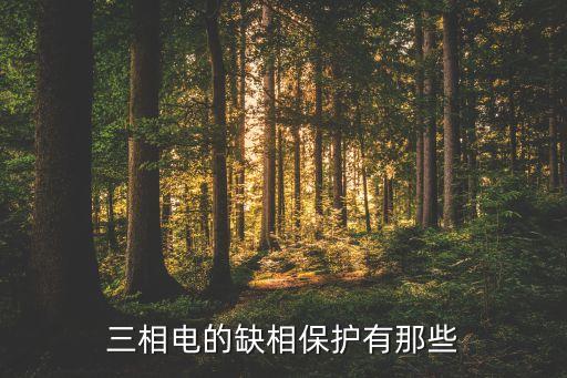 三相電的缺相保護(hù)有那些