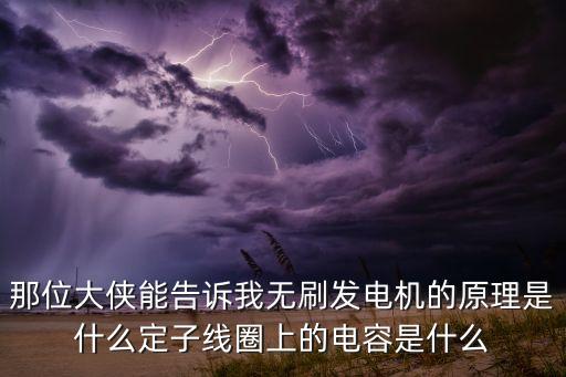 那位大俠能告訴我無(wú)刷發(fā)電機(jī)的原理是什么定子線圈上的電容是什么