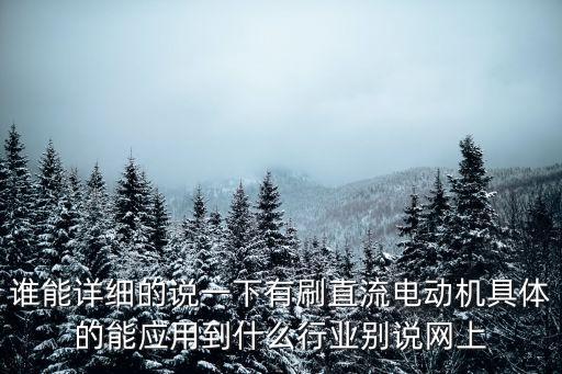 誰能詳細的說一下有刷直流電動機具體的能應用到什么行業(yè)別說網上