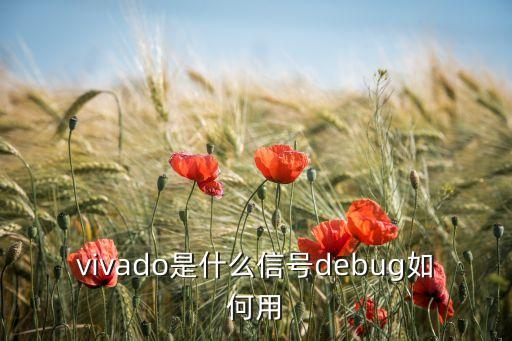 vivado是什么信號(hào)debug如何用