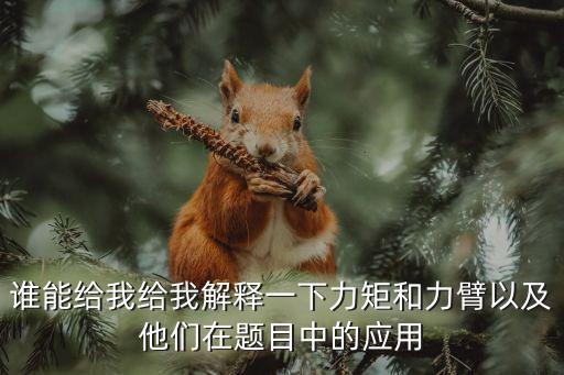 誰(shuí)能給我給我解釋一下力矩和力臂以及他們?cè)陬}目中的應(yīng)用