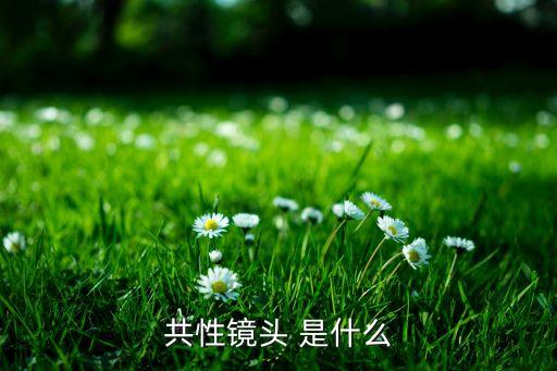 共性鏡頭 是什么