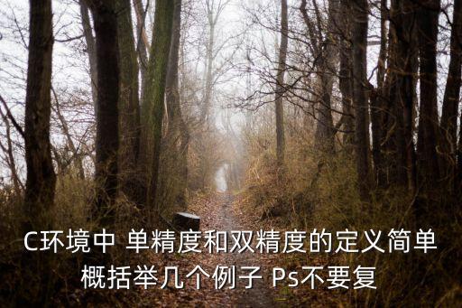 C環(huán)境中 單精度和雙精度的定義簡單概括舉幾個例子 Ps不要復