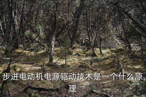 步進電機驅動，步進電機是利用什么方式來驅動呢