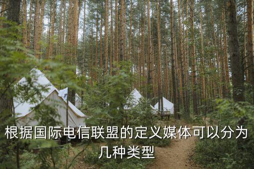 根據國際電信聯盟的定義媒體可以分為幾種類型
