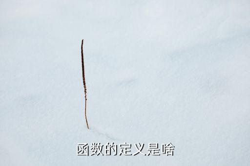 函數(shù)定義，函數(shù)的定義是啥