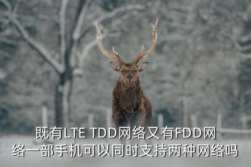 既有LTE TDD網(wǎng)絡(luò)又有FDD網(wǎng)絡(luò)一部手機(jī)可以同時(shí)支持兩種網(wǎng)絡(luò)嗎