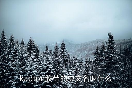 kapton，kapton膠帶的中文名叫什么
