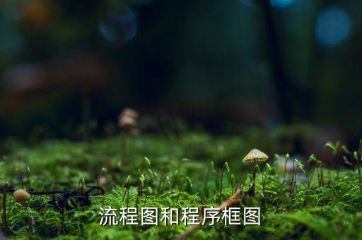 流程圖和程序框圖