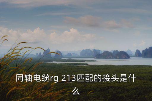 同軸電纜rg 213匹配的接頭是什么