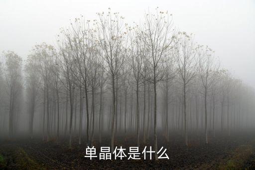單晶體是什么