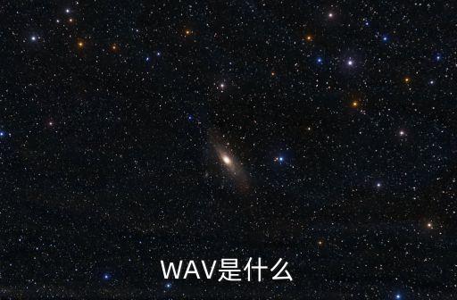 WAV是什么