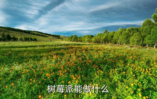 樹莓派能做什么
