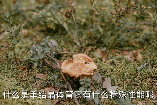 什么是單結(jié)晶體管它有什么特殊性能呢