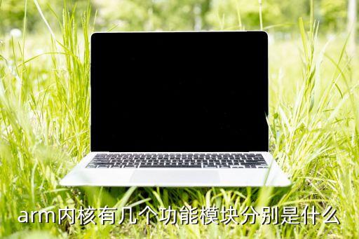 arm內(nèi)核，什么是ARM內(nèi)核 通常說的架構(gòu)指的是什么