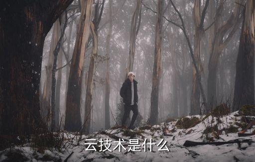 云技術(shù)是什么