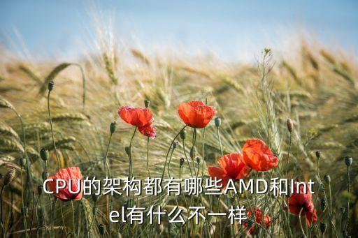 cpu架構(gòu)有幾種，CPU的架構(gòu)都有哪些AMD和Intel有什么不一樣