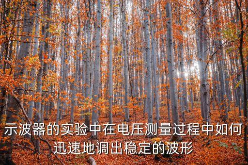 示波器的實(shí)驗(yàn)中在電壓測(cè)量過程中如何迅速地調(diào)出穩(wěn)定的波形