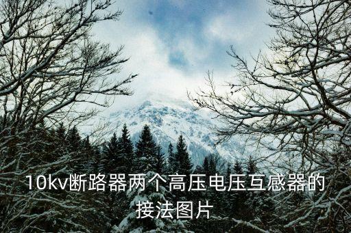 10kv斷路器兩個(gè)高壓電壓互感器的接法圖片