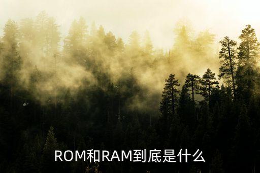 ROM和RAM到底是什么
