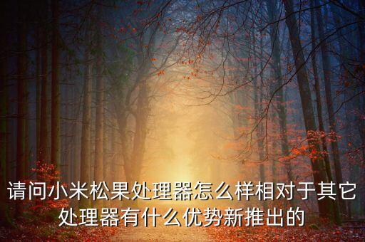 松果處理器，請問小米松果處理器怎么樣相對于其它處理器有什么優(yōu)勢新推出的