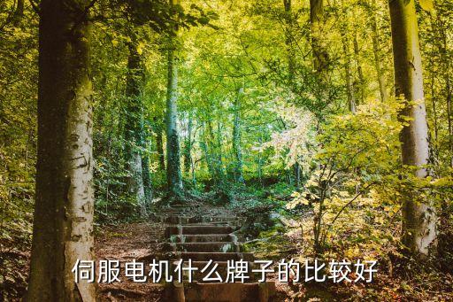 伺服電機品牌，什么品牌伺服電機好操作