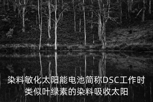 染料敏化太陽能電池簡稱DSC工作時類似葉綠素的染料吸收太陽