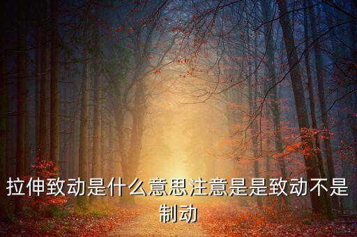 拉伸致動是什么意思注意是是致動不是制動
