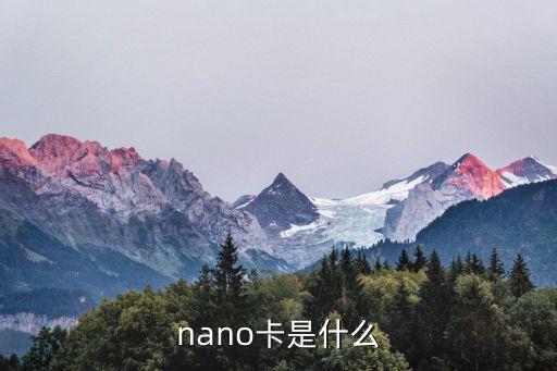nano卡是什么