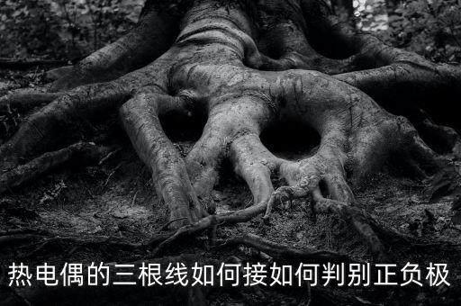 熱電偶的三根線如何接如何判別正負極
