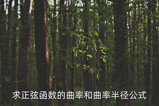 曲率和曲率半徑，曲率半徑是什么詳細一點