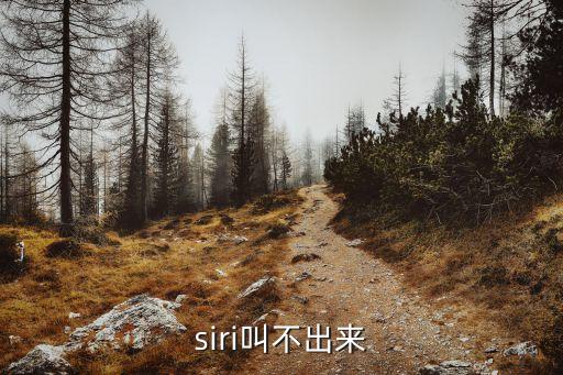siri叫不出來