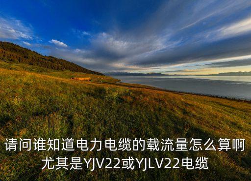 請(qǐng)問(wèn)誰(shuí)知道電力電纜的載流量怎么算啊尤其是YJV22或YJLV22電纜