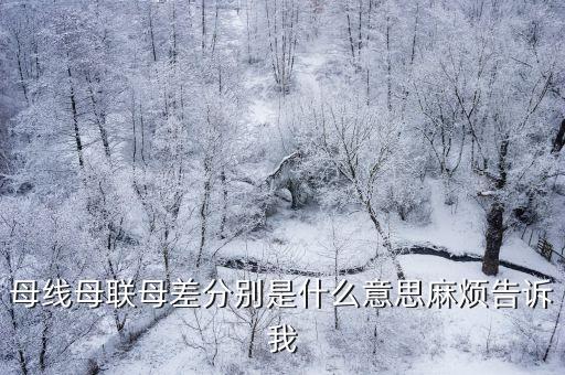 母線母聯(lián)母差分別是什么意思麻煩告訴我