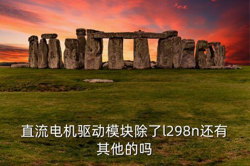 直流電機(jī)驅(qū)動(dòng)模塊除了l298n還有其他的嗎