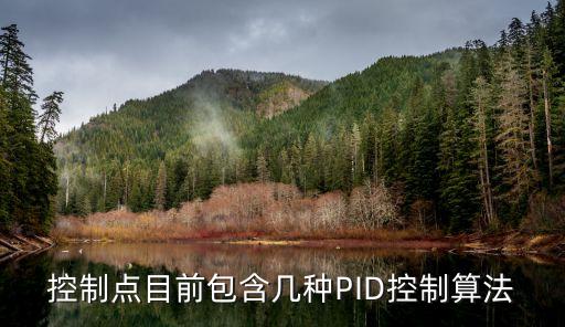 控制點(diǎn)目前包含幾種PID控制算法