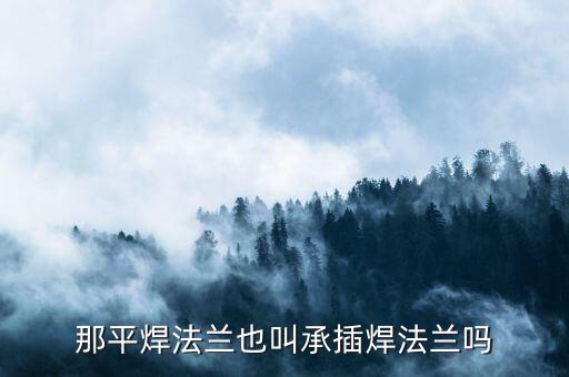 平焊法蘭，那平焊法蘭也叫承插焊法蘭嗎