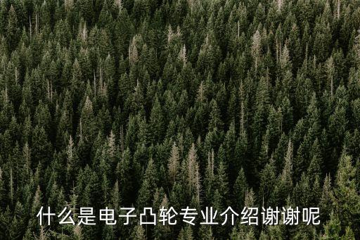 什么是電子凸輪專業(yè)介紹謝謝呢