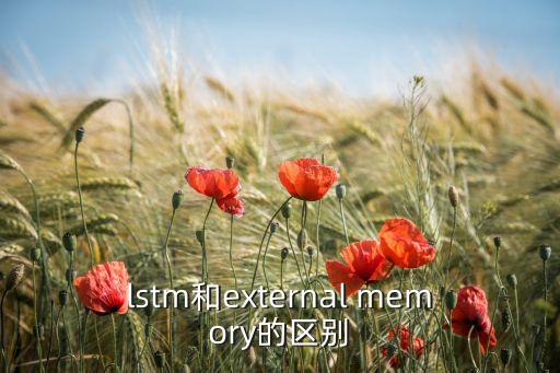 lstm和external memory的區(qū)別