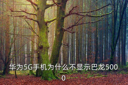 華為5G手機(jī)為什么不顯示巴龍5000