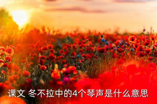 課文 冬不拉中的4個(gè)琴聲是什么意思