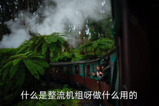 什么是整流機組呀做什么用的