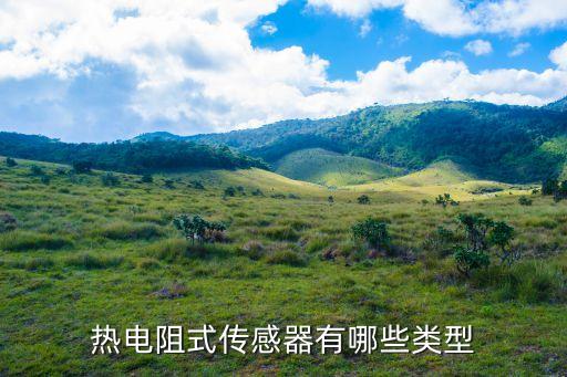 熱電阻式傳感器有哪些類型