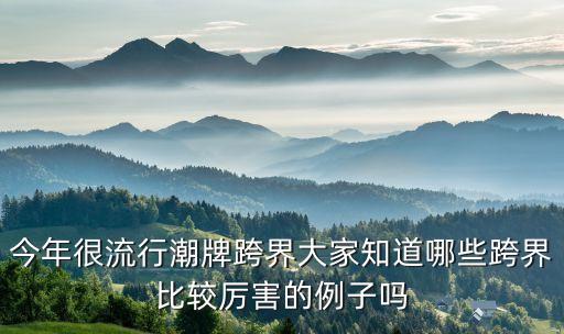 今年很流行潮牌跨界大家知道哪些跨界比較厲害的例子嗎