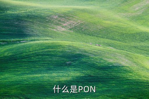 什么是PON