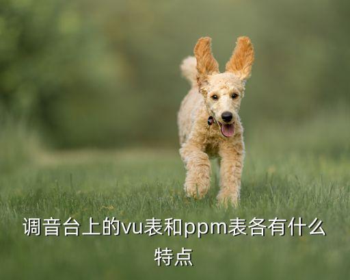 調(diào)音臺(tái)上的vu表和ppm表各有什么特點(diǎn)