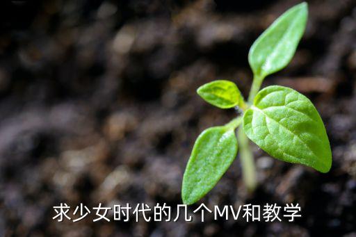 geehy，求少女時代的幾個MV和教學