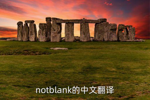 notblank的中文翻譯
